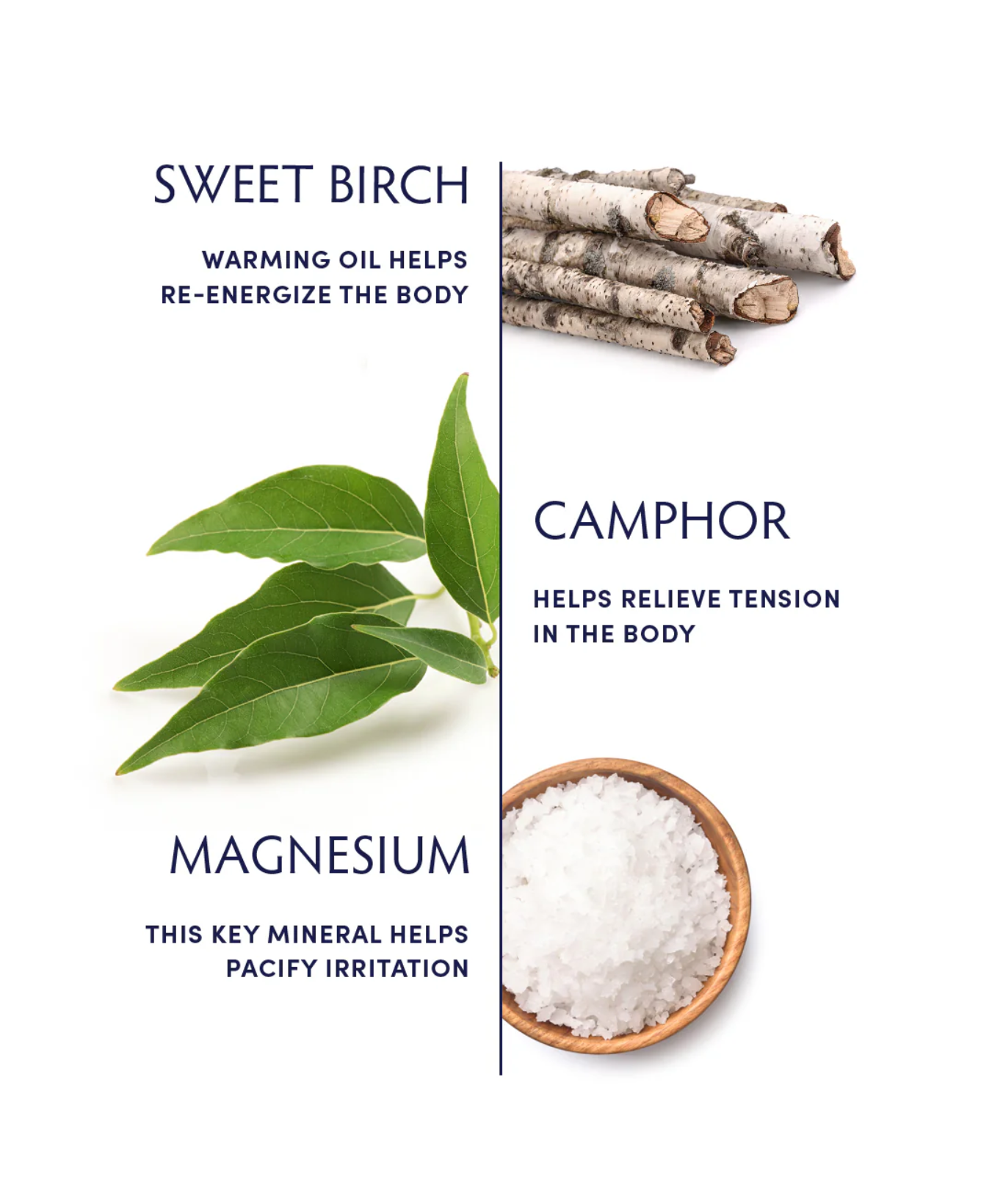 Sweet Birch & Camphor Rub